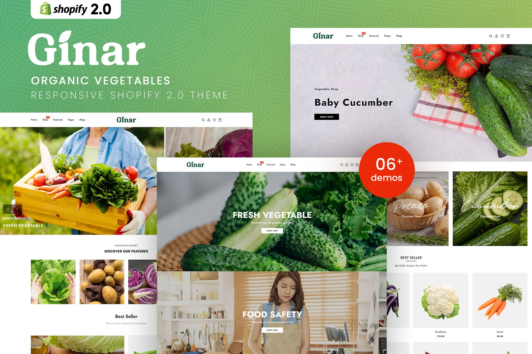 Ginar Vegetables Shopify Theme