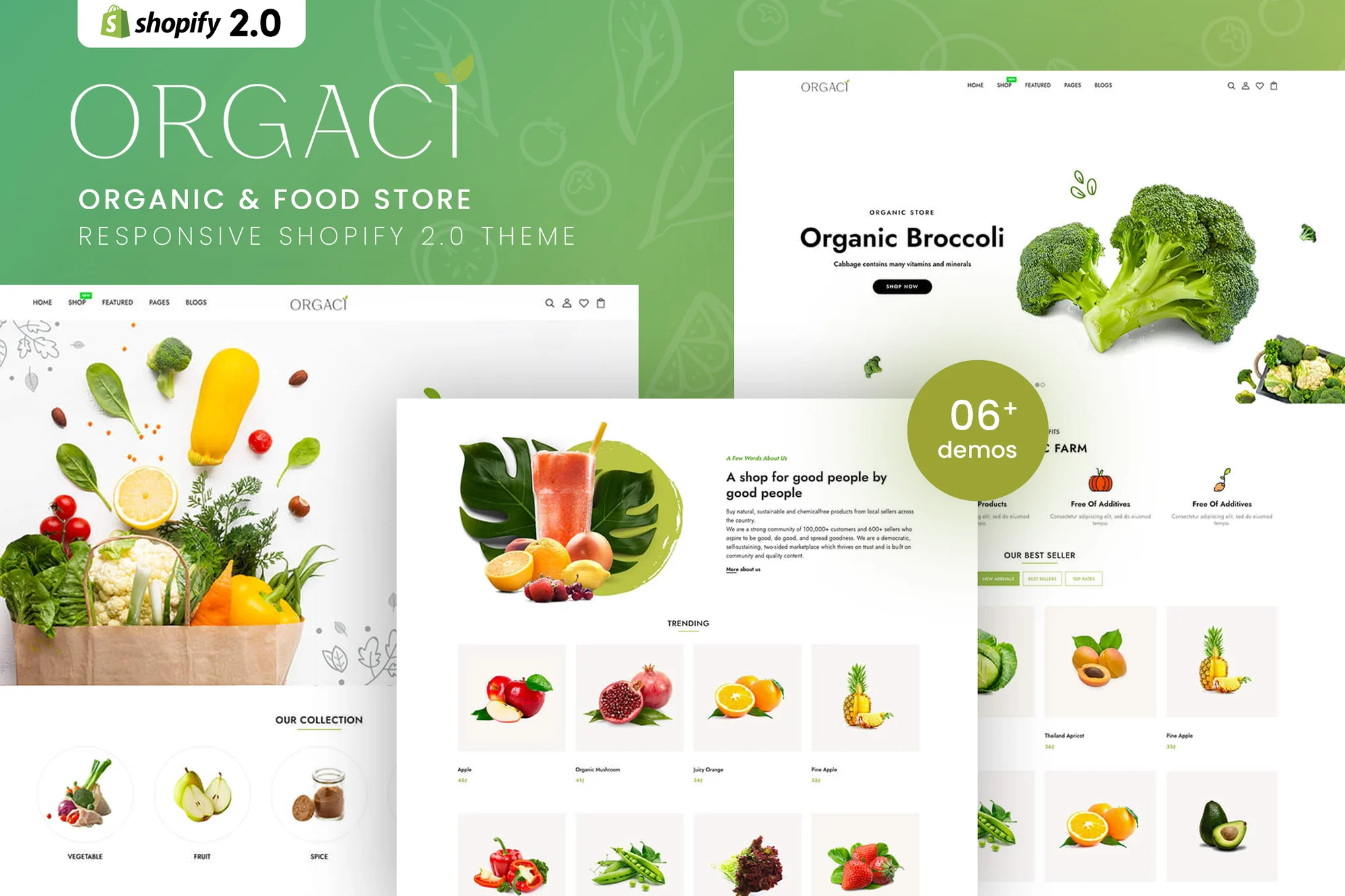 Orgaci Food Store Shopify Theme