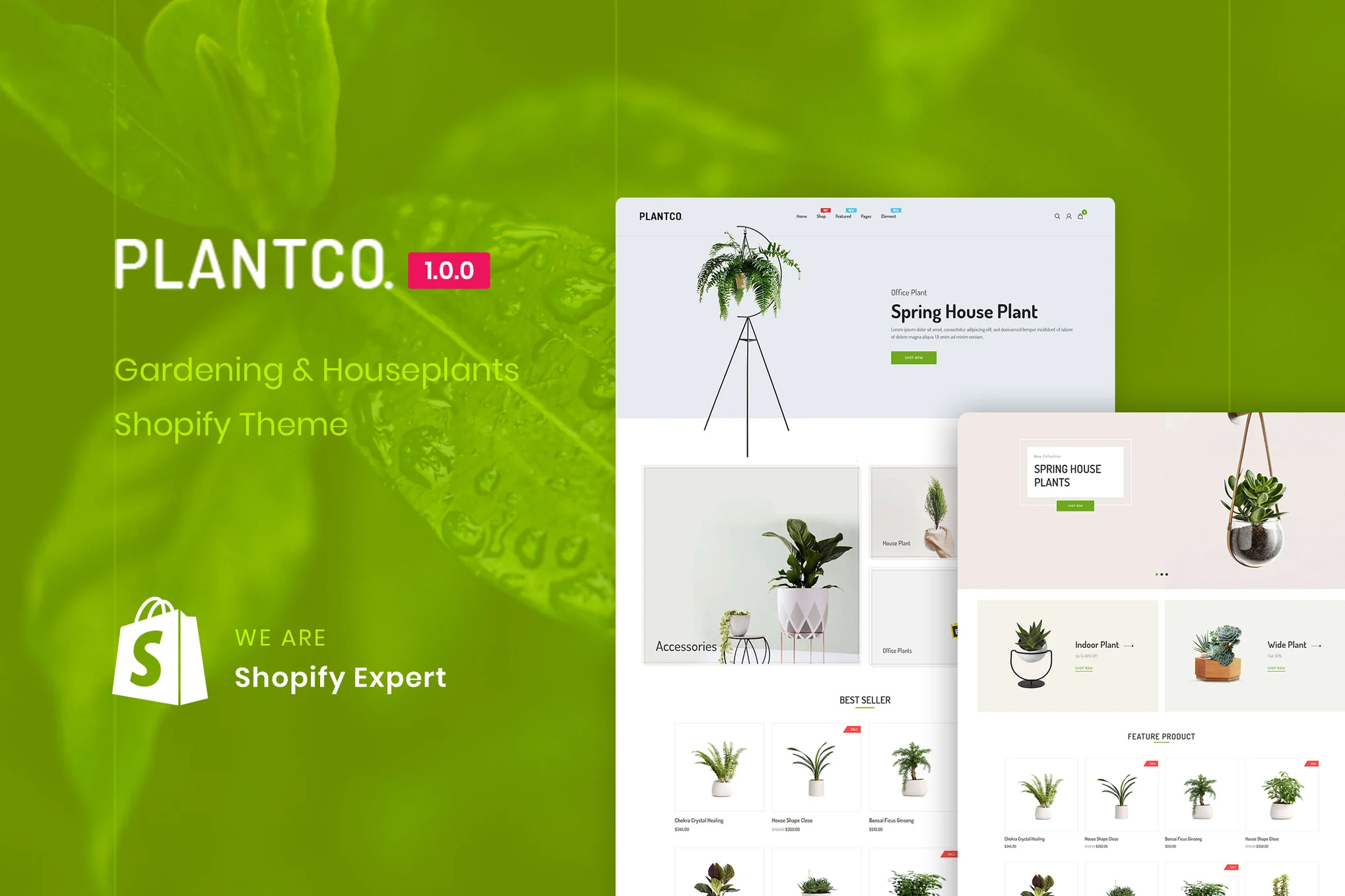 Plantco Houseplants Shopify Theme